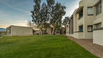 Riverstone outside view of dog friendly lush landscape